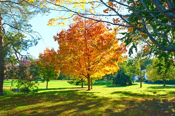 Barrio suburbano en otoño — Foto de Stock