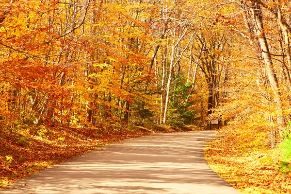 Escena de otoño con carretera — Foto de Stock