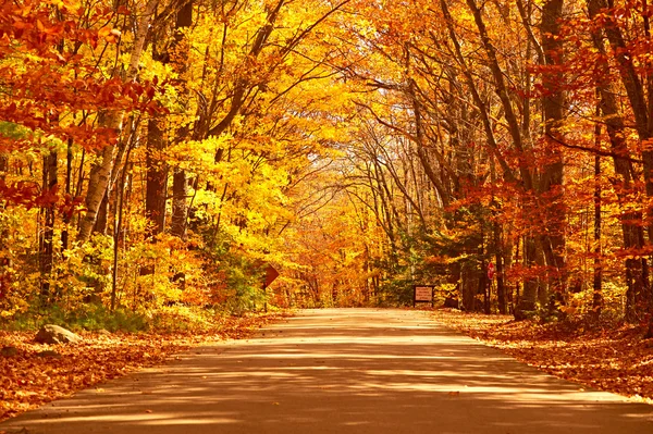 Autumn scene with road — Stock Photo, Image