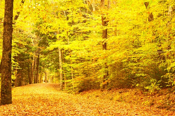 Autumn scene in New England — Stock Photo, Image