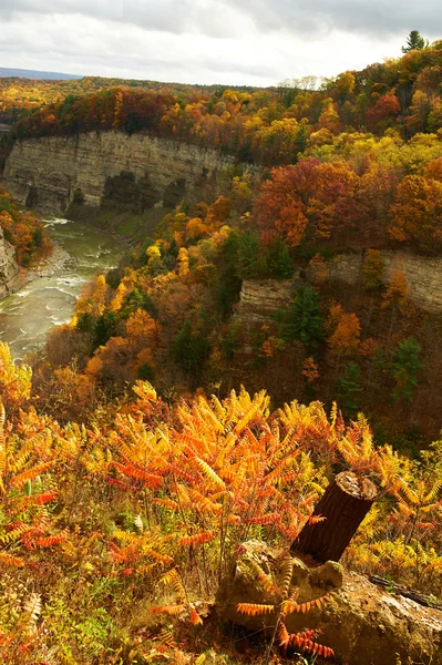 Осенняя сцена водопадов и ущелий — стоковое фото