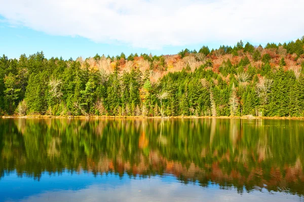 New Hampshire'da gölet — Stok fotoğraf