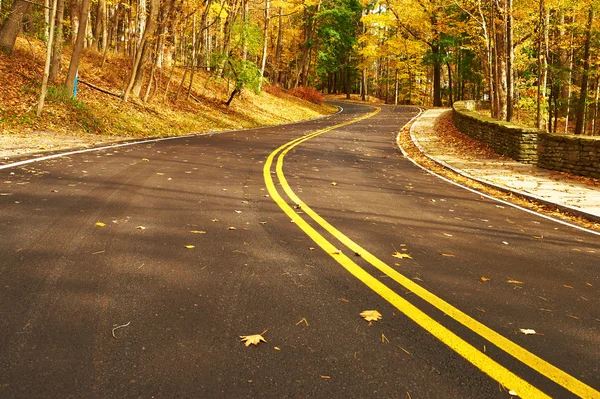 Escena de otoño con carretera — Foto de Stock