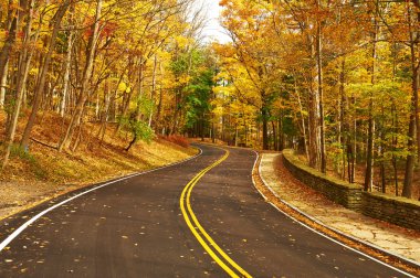Orman yolu ile sonbahar sahne 