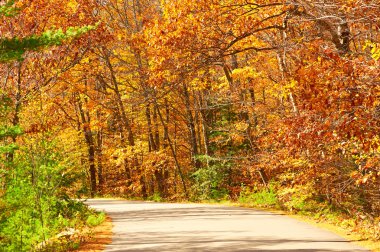 Yollu sonbahar sahnesi