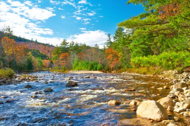 Swift River at autumn clipart