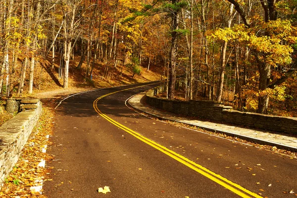 Herfst scène met weg in bos — Stockfoto