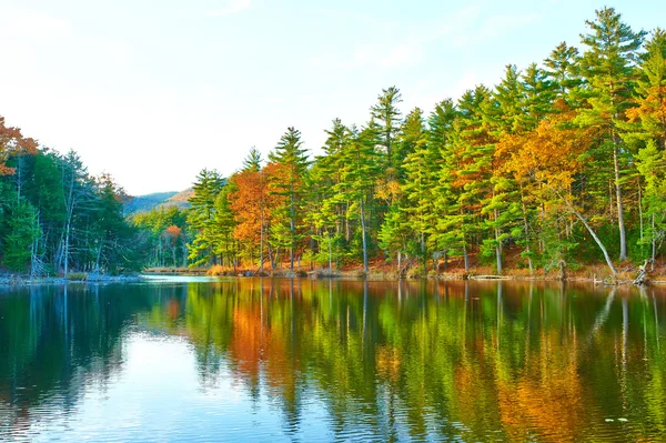 Teich im weißen Bergwald — Stockfoto