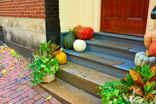 Dynie w pobliżu drzwi na Halloween — Zdjęcie stockowe