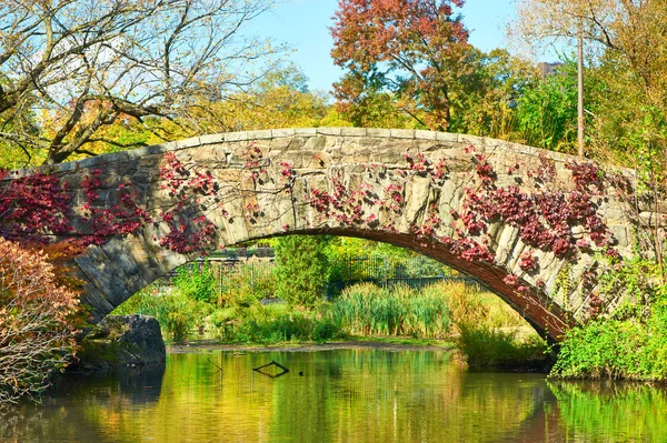 Ciudad de Nueva York Central Park — Foto de Stock