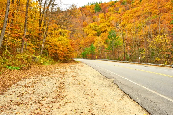 Scène d'automne avec route — Photo