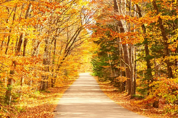 Autumn scene with road — Stock Photo, Image