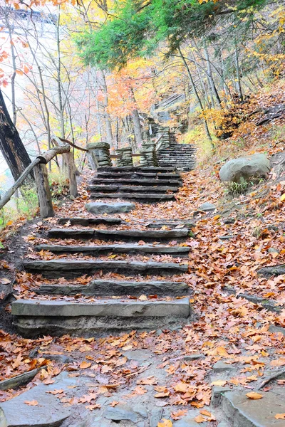 Letchworth State Park — Stock Photo, Image