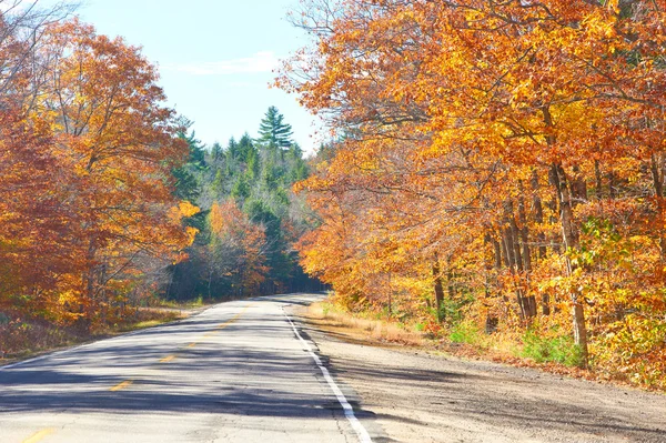 Autumn scene with road — Stock Photo, Image