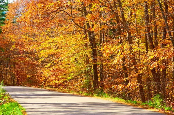 Autumn scene with road — Stock Photo, Image