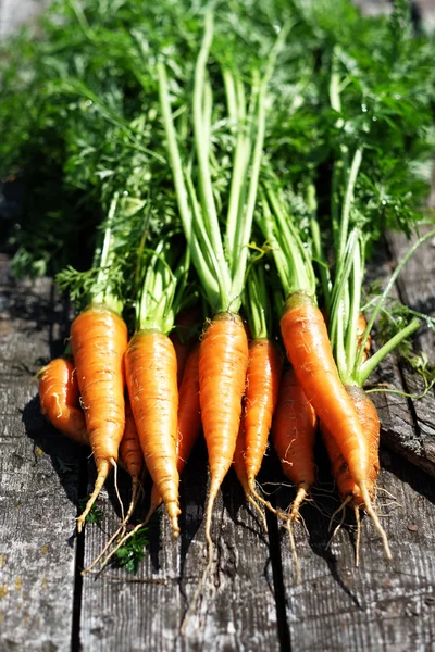 Спелая и свежая органическая морковь — стоковое фото