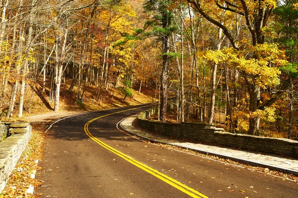 Herbstszene mit Straße im Wald — Stockfoto