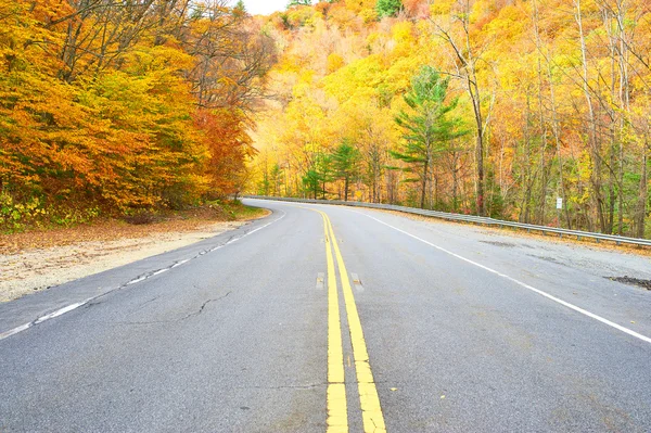 Herbstszene mit Straße — Stockfoto