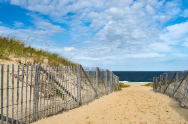 Path way to the beach at Cape Cod clipart