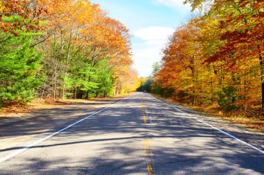 Yollu sonbahar sahnesi