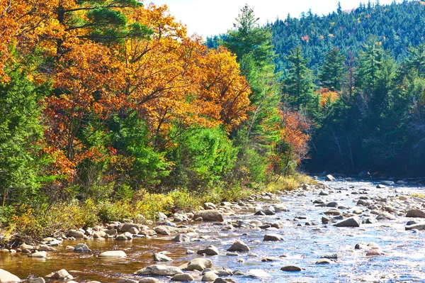 秋のスウィフト川 — ストック写真