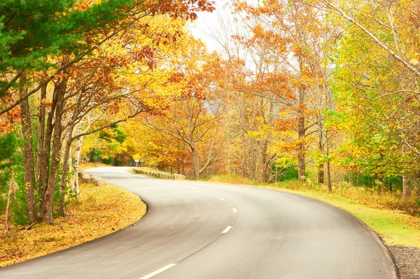 Escena de otoño con carretera — Foto de Stock