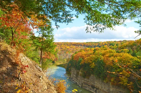 Herfst scène landschap — Stockfoto