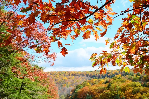 秋の現場風景 — ストック写真