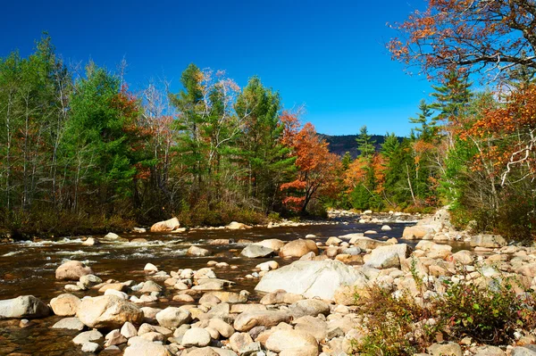 Swift River in autunno — Foto Stock