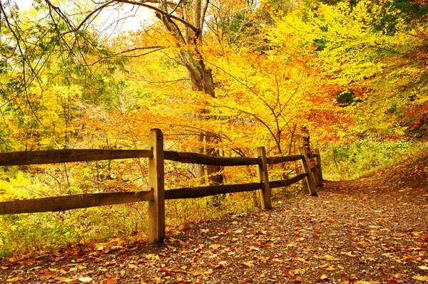 Herfst scène landschap — Stockfoto