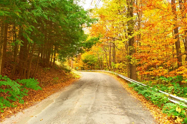 Autumn scene with road — Stock Photo, Image