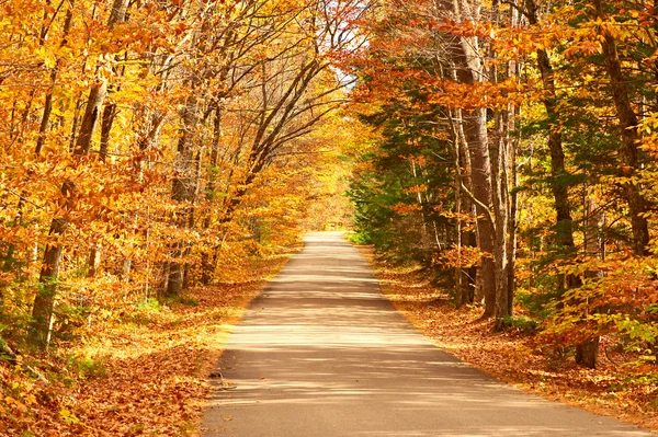 有道路的秋天场景 — 图库照片