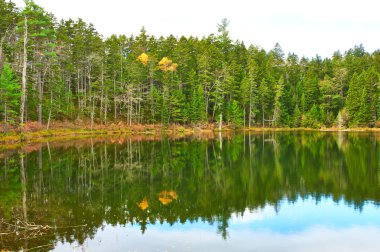 Beyaz dağ Ulusal Ormanı gölette