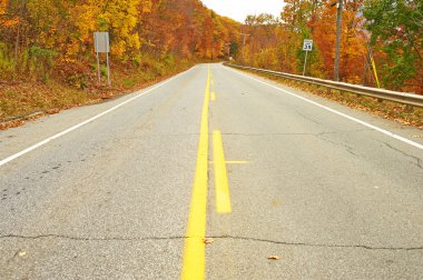 Yollu sonbahar sahnesi