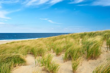 Cape Cod, kum tepeleri ile manzara