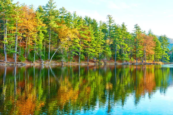 Teich im weißen Bergwald — Stockfoto