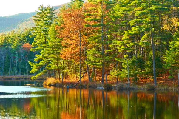 Pond in White Mountain National Forest — Stock Photo, Image