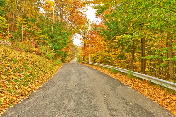 Autumn scene with road — Stock Photo, Image