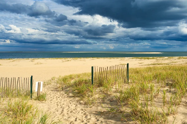 Path way to the beach at Cape Cod — Stock Photo, Image