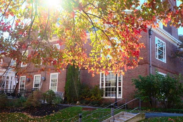 Herbstszene an der Cambridge — Stockfoto