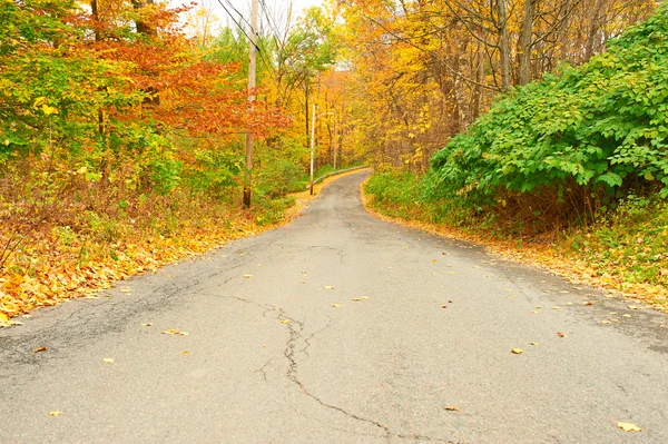 Escena de otoño con carretera — Foto de Stock