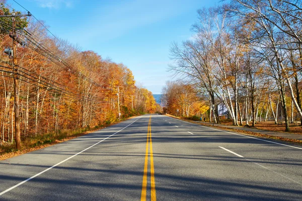 도로가 있는 가을 풍경 — 스톡 사진