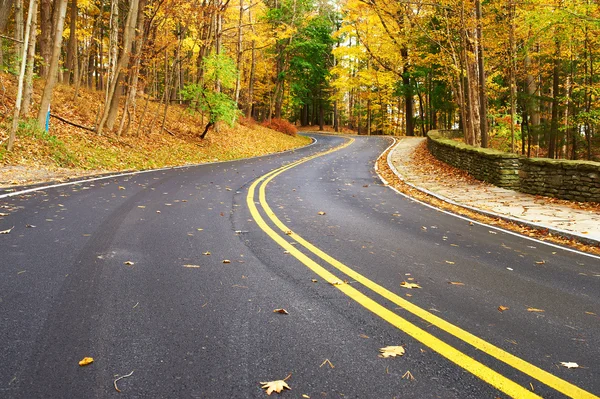 有道路的秋天场景 — 图库照片