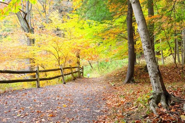 Autumn scene landscape — Stock Photo, Image