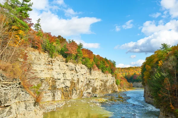 Otoño en el Parque Estatal de Letchworth — Foto de Stock