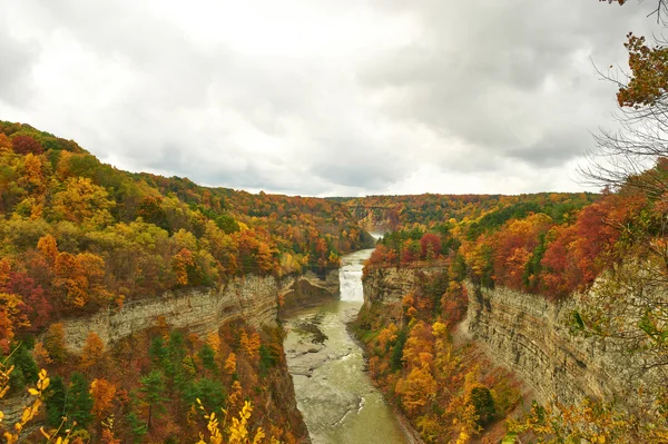 Herfst in Letchworth State Park — Stockfoto