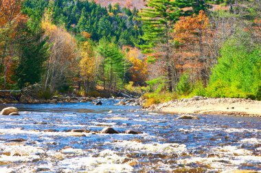 Swift nehir sonbahar