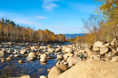 Swift nehir sonbahar