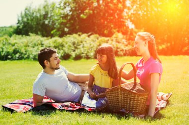 Aile için yaz piknikte
