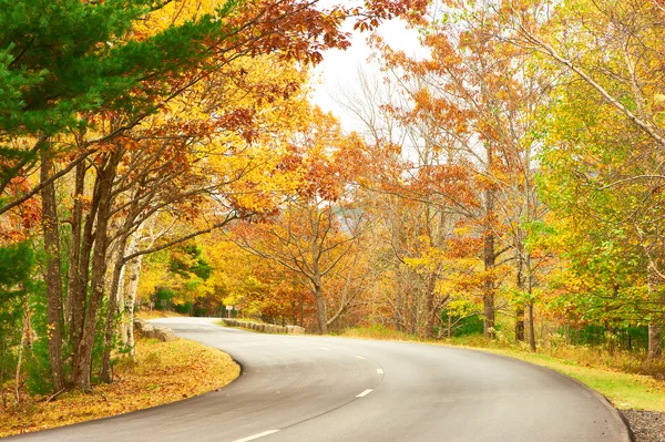 Herfst scène met weg — Stockfoto